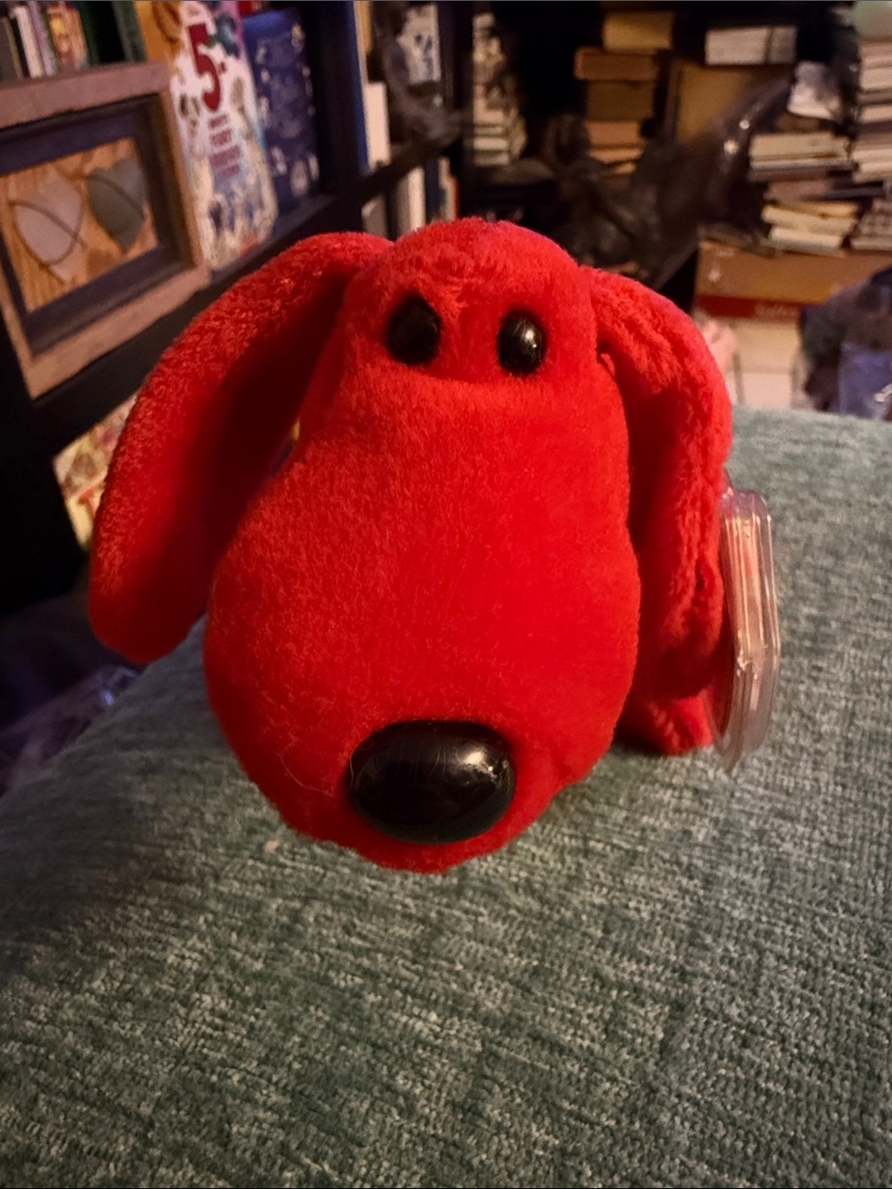 TY Beanie Baby ROVER THE CUTE RED DOG 8" Bean Bag Stuffed Animal NEW 1996
